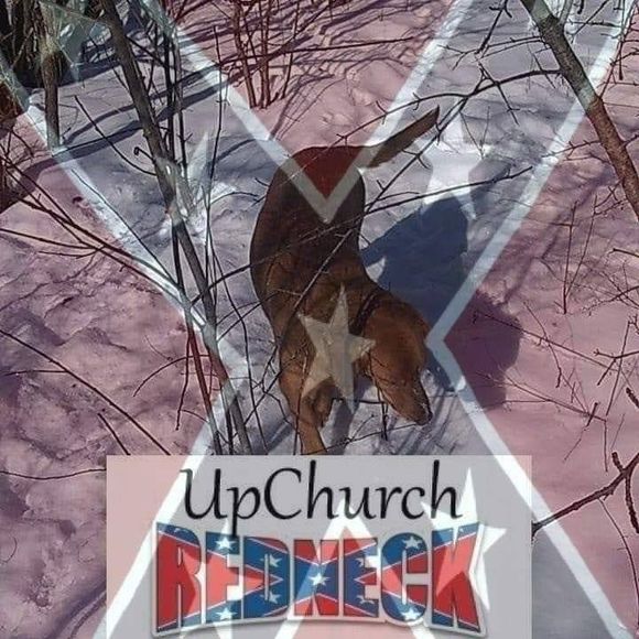 Meet your Posher, Roach - Picture 1 of 1